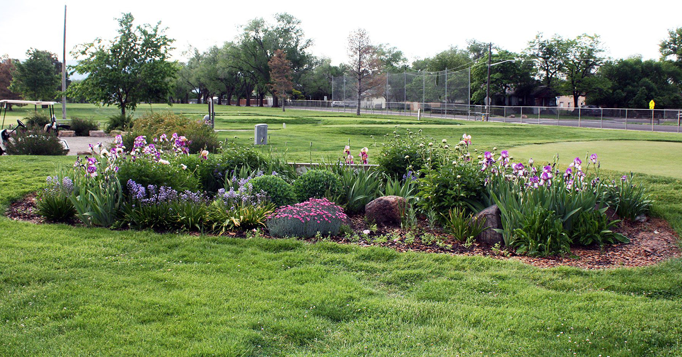 Lincoln-Park-Golf-Course Lincoln Park Golf Course in Grand Junction CO with landscaped greens and public course fairways