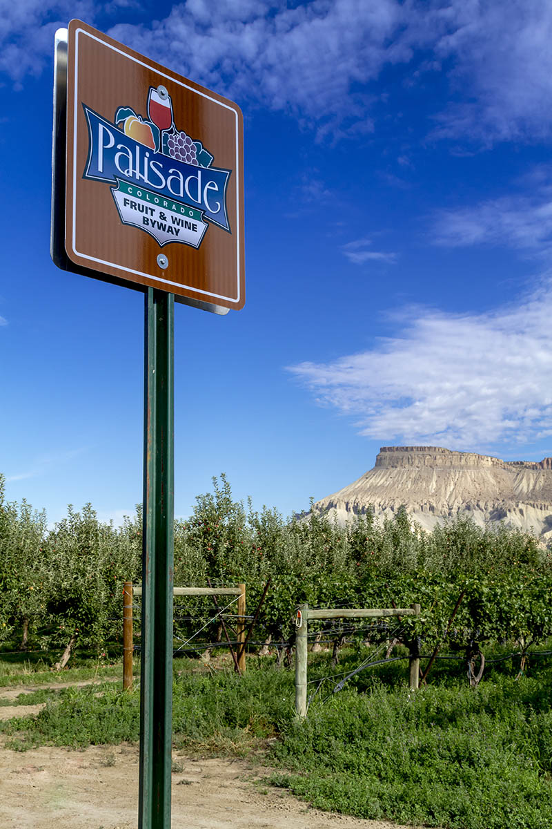 Palisade Fruit and Wine Byway